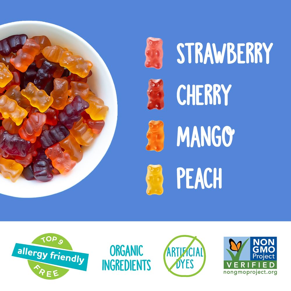 YumEarth Organic Gummy Bears - Fruity Gummy Candy Snack Packs, Gluten Free Snacks for Kids - Allergy Friendly, Non-GMO, No Artificial Flavors or Dyes - Assorted Flavors, 0.7 Oz - 15 Count (Pack of 1)