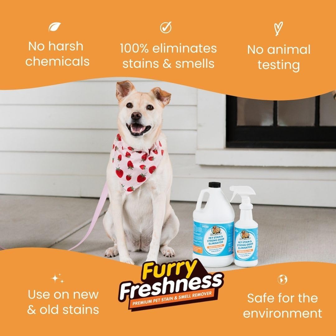 FurryFreshness Extra Strength Cat or Dog Pee Stain & Permanent Odor Remover + Smell Eliminator -Removes Stains from Pets & Kids Including Urine or Blood- Lifts Old Carpet Stains- 32oz Spray & 1 Gallon