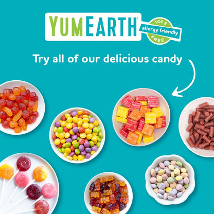 YumEarth Organic Gummy Bears - Fruity Gummy Candy Snack Packs, Gluten Free Snacks for Kids - Allergy Friendly, Non-GMO, No Artificial Flavors or Dyes - Assorted Flavors, 0.7 Oz - 15 Count (Pack of 1)