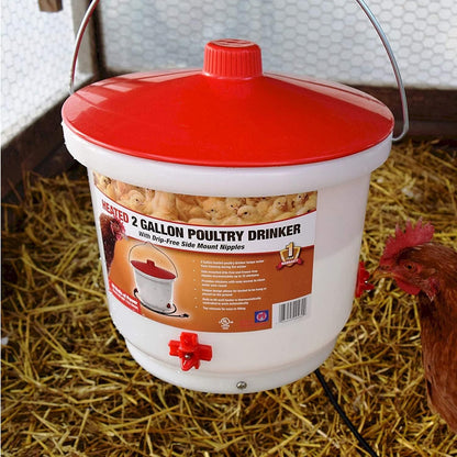 Farm Innovators Heated Chicken Waterer, Poultry Drinker Bucket, 2 Gallon