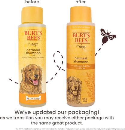 Burt's Bees for Pets Oatmeal Dog Shampoo - Soothing Shampoo for Dogs - Gentle Dog Shampoo for Sensitive Skin - Moisturizing Pet Care with Colloidal Oat Flour & Honey - Fragrance Free, 16 Oz