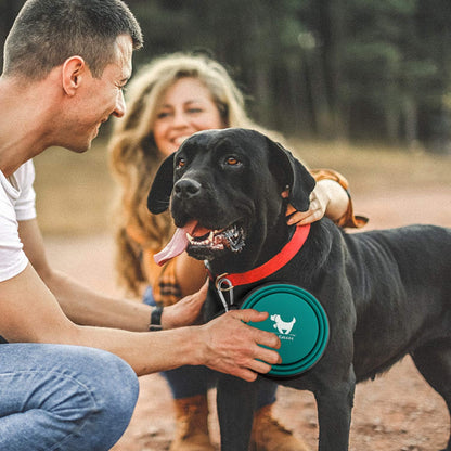 Collapsible Dog Bowls for Travel, 2-Pack Dog Portable Water Bowl for Dogs Cats Pet Foldable Feeding Watering Dish for Traveling Camping Walking with 2 Carabiners, BPA Free