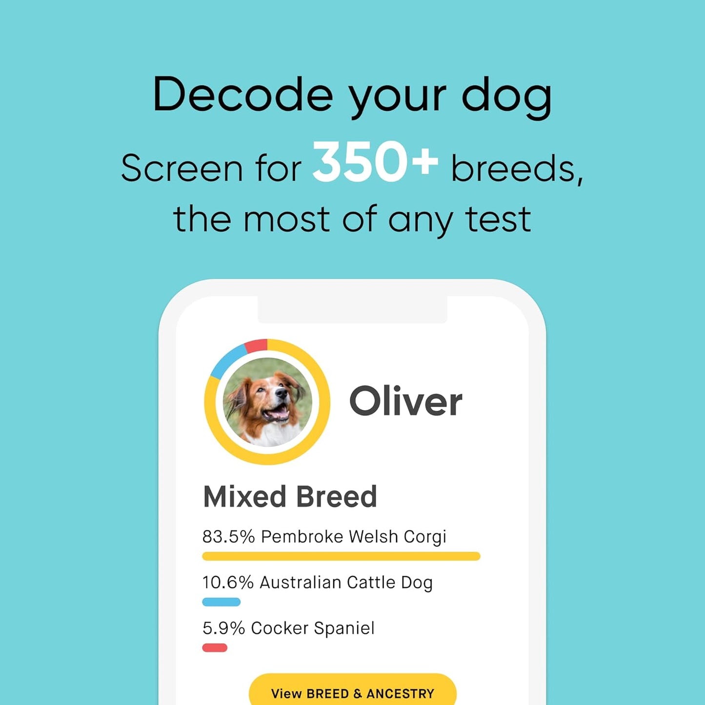 Embark Breed Identification Kit - Most Accurate Dog DNA Testing Kit - 99% Breed Ancestry Accuracy for Mixed Breed Dogs - Plus Relative Finder & Family Tree