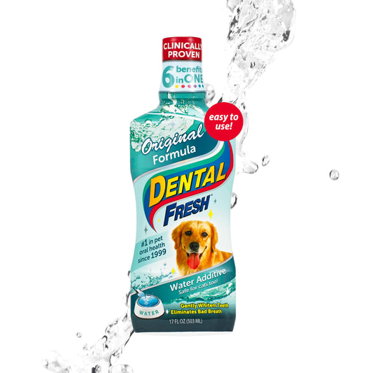 Dental Fresh Water Additive for Dogs, Original Formula, 17oz – Dog Breath Freshener and Teeth Cleaning for Dental Care– Add to Water