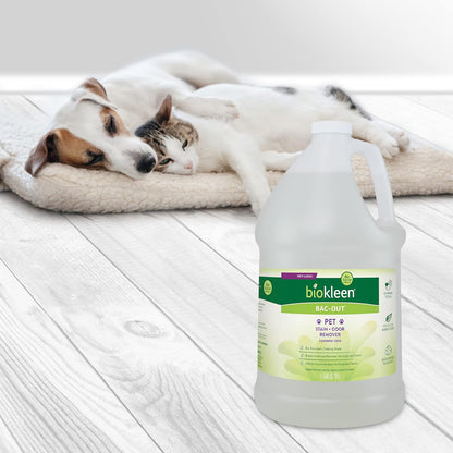 Biokleen Bac-Out Pet Stain Remover - 1 Gallon - Enzymatic, Natural, Destroys Stains & Odors Safely, for Pet Stains on Carpets - Eco-Friendly, Plant-Based