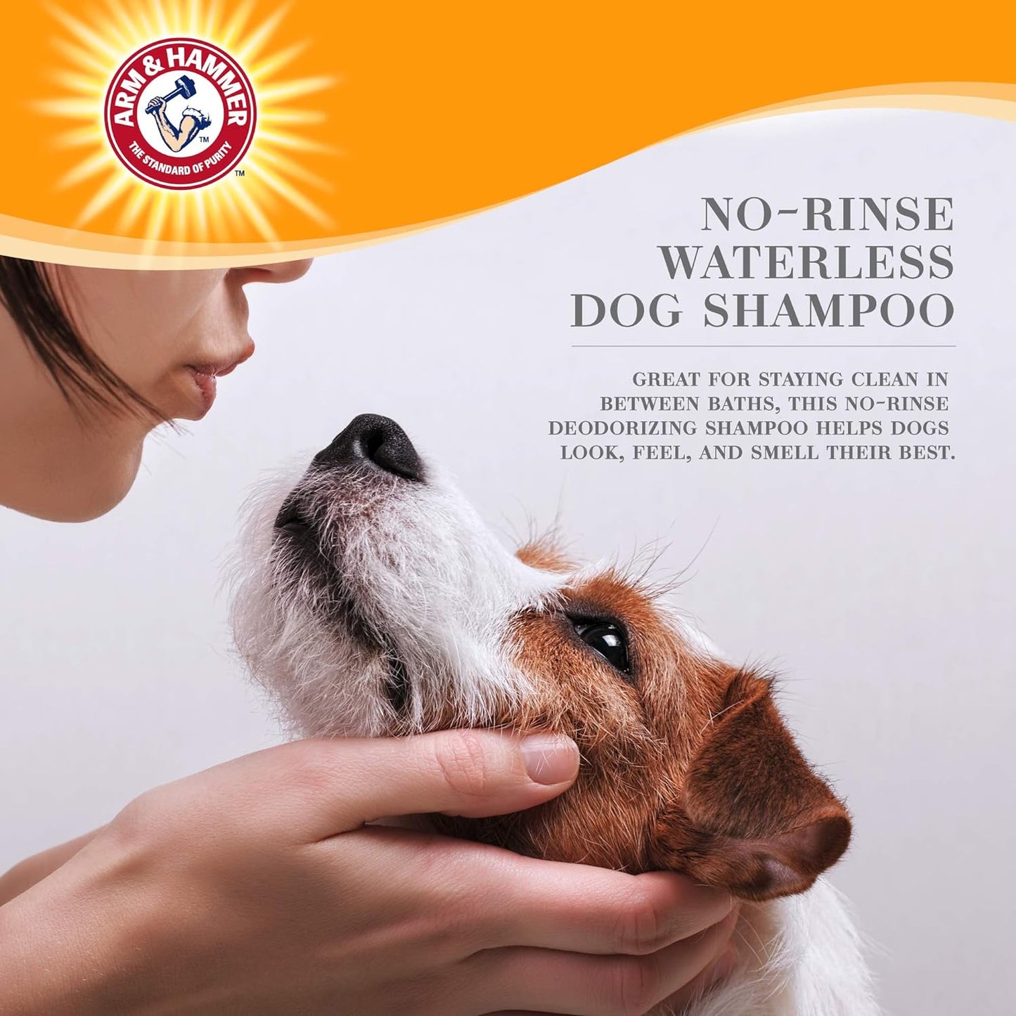 Arm & Hammer for Pets Ultra Fresh Dog Deodorizing Foam, Juniper Mist Scent - No Rinse Waterless Dog Shampoo for Smelly Dogs, Pet Deodorizer, Bathing Supplies, 8 Fl Oz