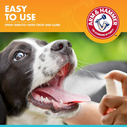 Arm & Hammer for Pets Dog Oral Care Spray - Fresh Breath & Teeth Cleaning Spray - Pet Breath Freshener - Reduce Plaque & Tartar Buildup - Healthy Mouth Hygiene Solution for Dogs - Mint Flavor, 4 Oz