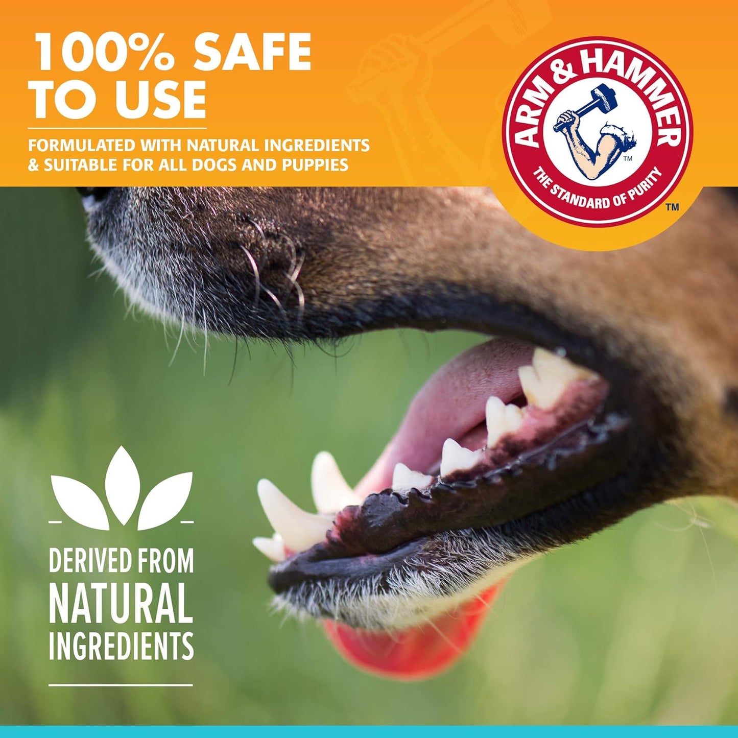 Arm & Hammer for Pets Dog Oral Care Spray - Fresh Breath & Teeth Cleaning Spray - Pet Breath Freshener - Reduce Plaque & Tartar Buildup - Healthy Mouth Hygiene Solution for Dogs - Mint Flavor, 4 Oz