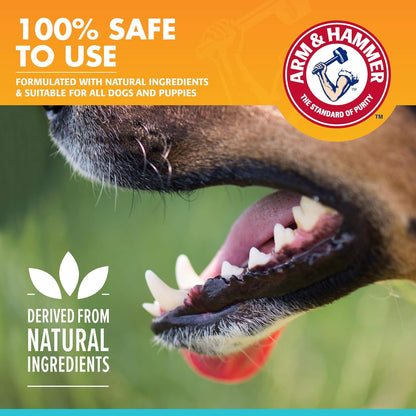 Arm & Hammer for Pets Dog Oral Care Spray - Fresh Breath & Teeth Cleaning Spray - Pet Breath Freshener - Reduce Plaque & Tartar Buildup - Healthy Mouth Hygiene Solution for Dogs - Mint Flavor, 4 Oz