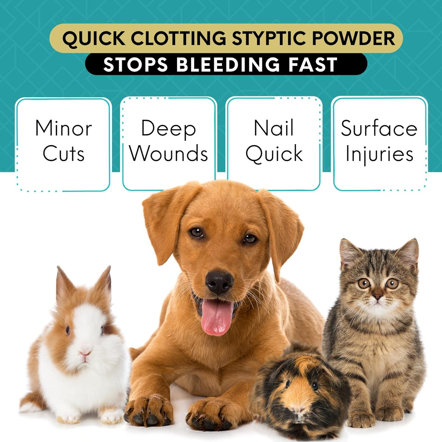 Blood Stop Powder (3 oz) - Quick Stop Bleeding for Dogs, Cats, Pigs, Horses and Pets – Styptic Powder for Dogs Nails and Minor to Severe External Wounds