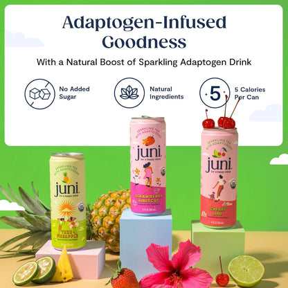 Juni Sparkling Adaptogen Drink - Zero Sugar, 5 Calories, Super Blend of Ashwagandha, Reishi Mushrooms, Lion’s Mane Mushroom with Green Tea for Focus, Non Alcoholic Drink, Decaffeinated,12oz Cans – Variety Pack (12 Pack)